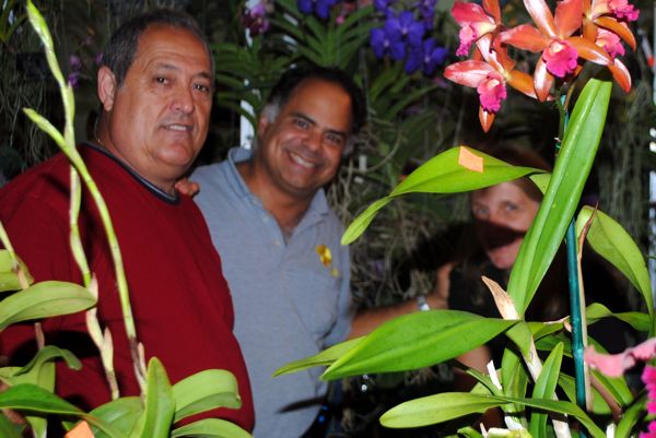 Segundo Cuesta, left, and Rafael Romero amid a jungle of orchids at the Delray Beach Orchid Show Saturday. Tina Romero is at the right, partially hidden by some leaves. Cuesta and Romero are vendors — and competitors. 
