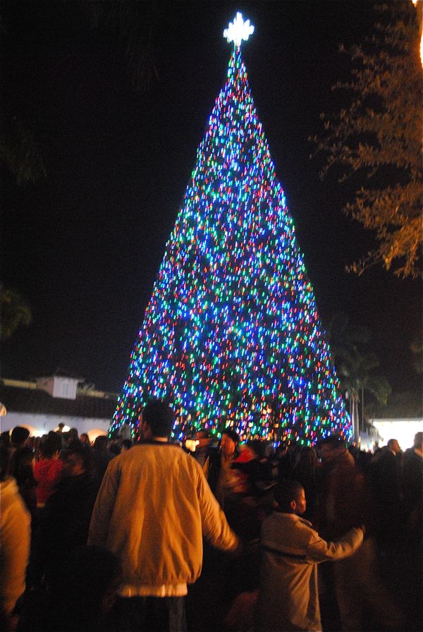 Santa arrives, Delray's 100foot Christmas tree lights the night